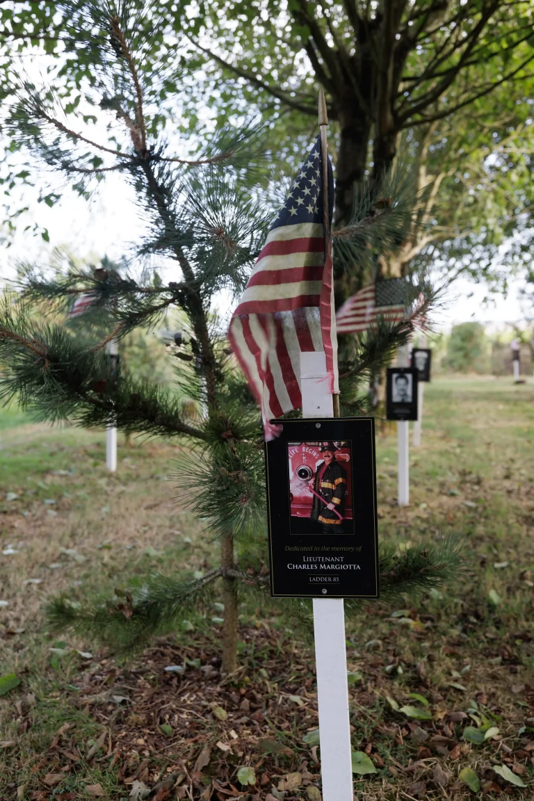 Photo of Charles Margiotta's tree in Ringfinnan Garden of Remembrance