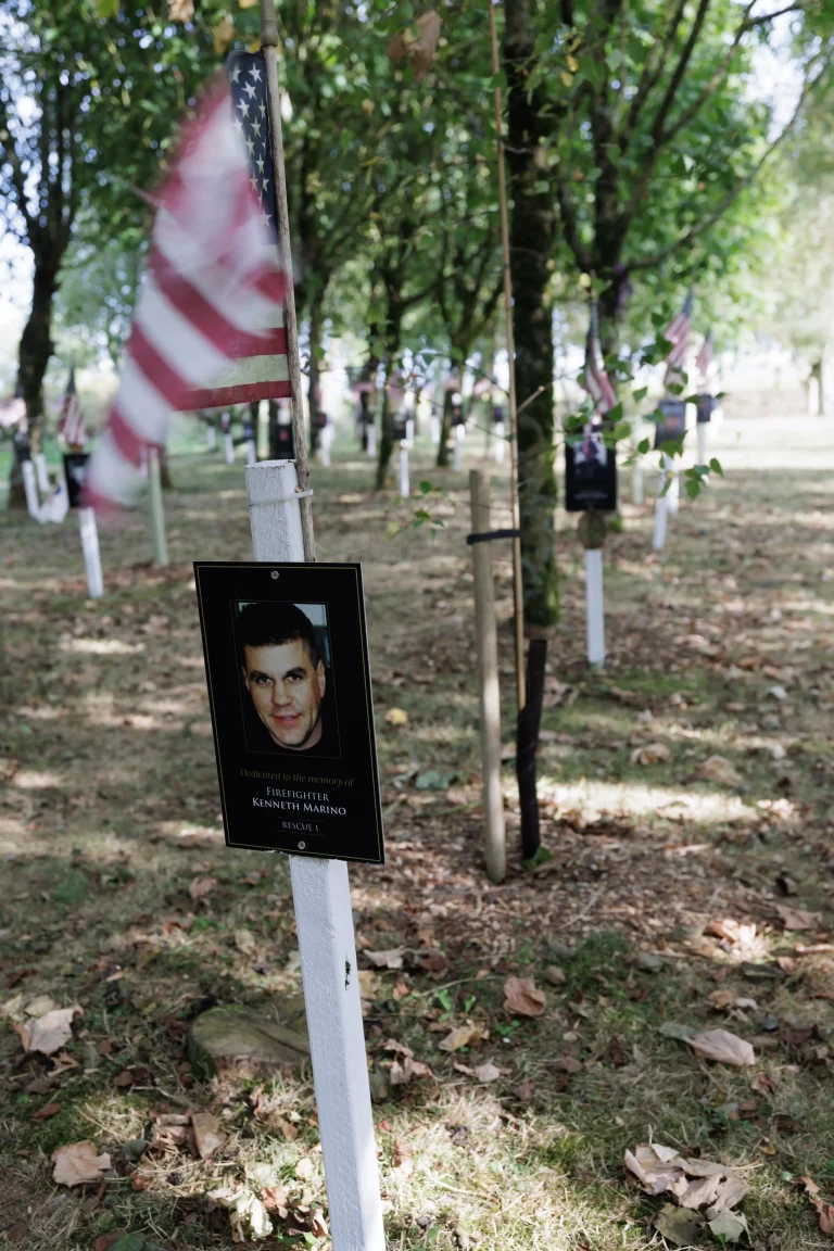 Photo of Kenneth Marino's tree in Ringfinnan Garden of Remembrance