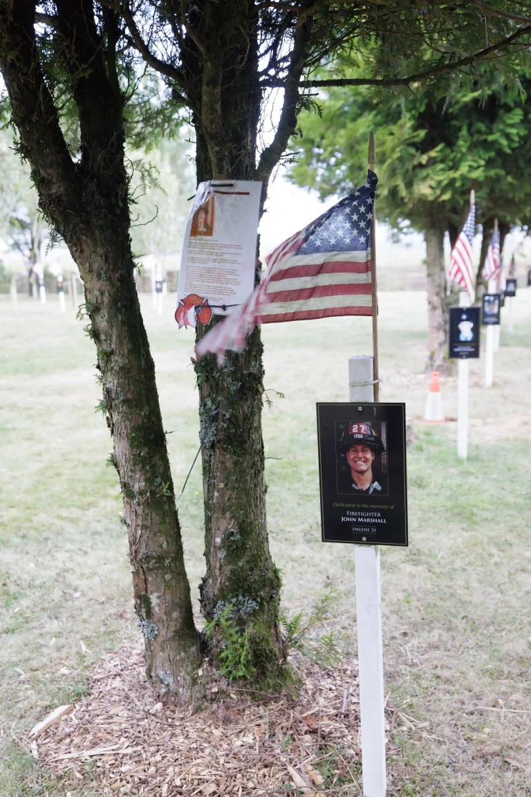 Photo of John Marshall's tree in Ringfinnan Garden of Remembrance