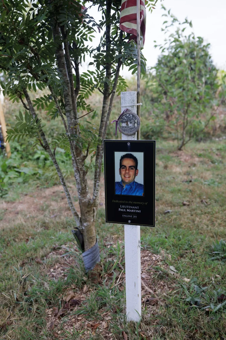 Photo of Paul Martini's tree in Ringfinnan Garden of Remembrance