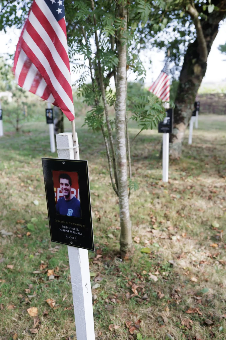 Photo of Joseph Mascali's tree in Ringfinnan Garden of Remembrance