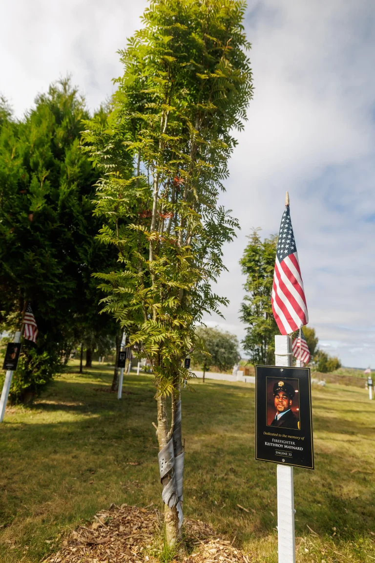 Photo of Keithroy Maynard's tree in Ringfinnan Garden of Remembrance