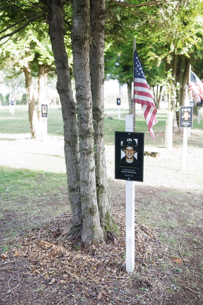 Photo of Brian McAleese's tree in Ringfinnan Garden of Remembrance