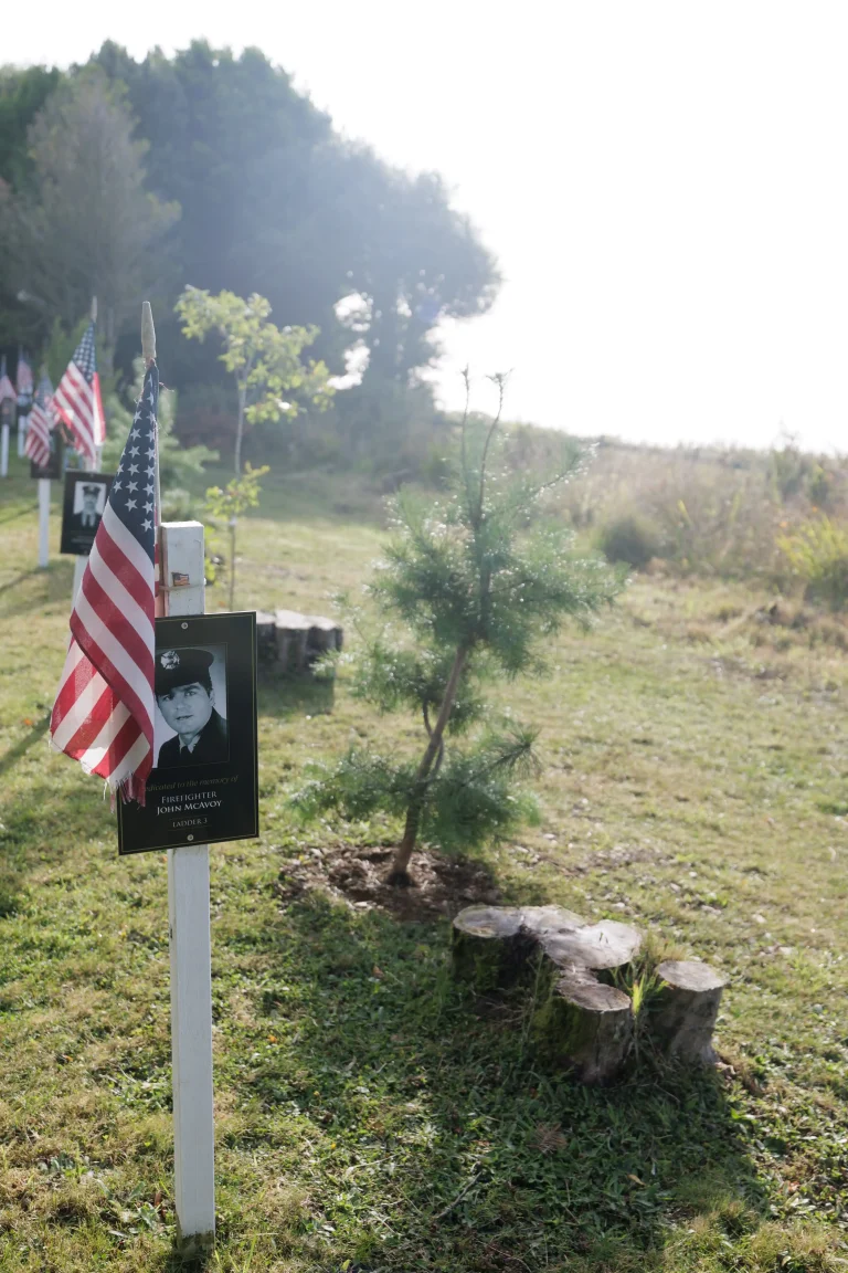 Photo of John McAvoy's tree in Ringfinnan Garden of Remembrance