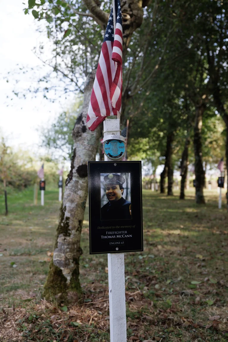 Photo of Thomas McCann's tree in Ringfinnan Garden of Remembrance