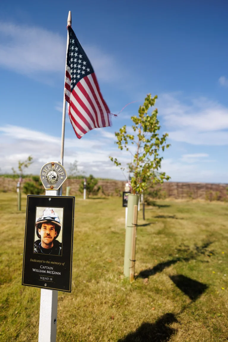 Photo of William McGinn's tree in Ringfinnan Garden of Remembrance