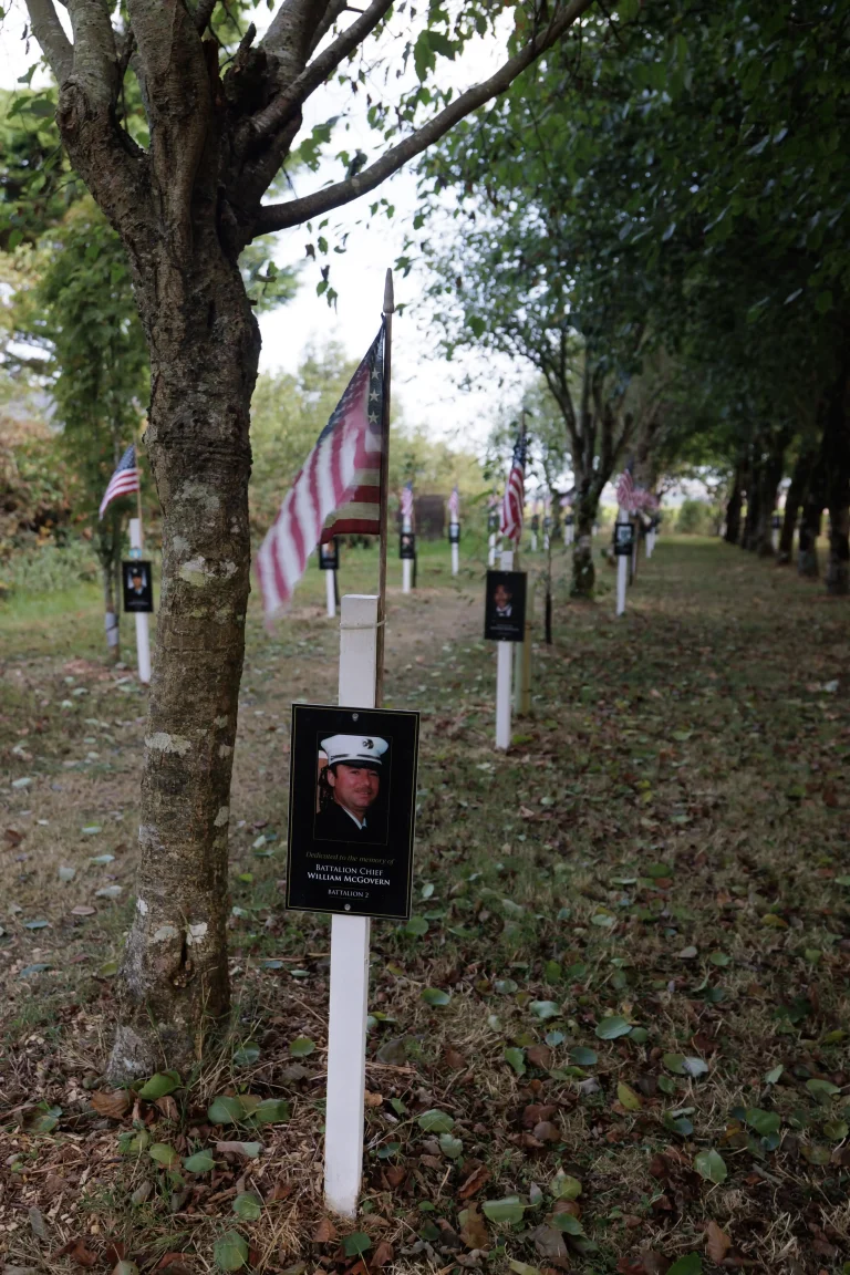 Photo of William McGovern's tree in Ringfinnan Garden of Remembrance