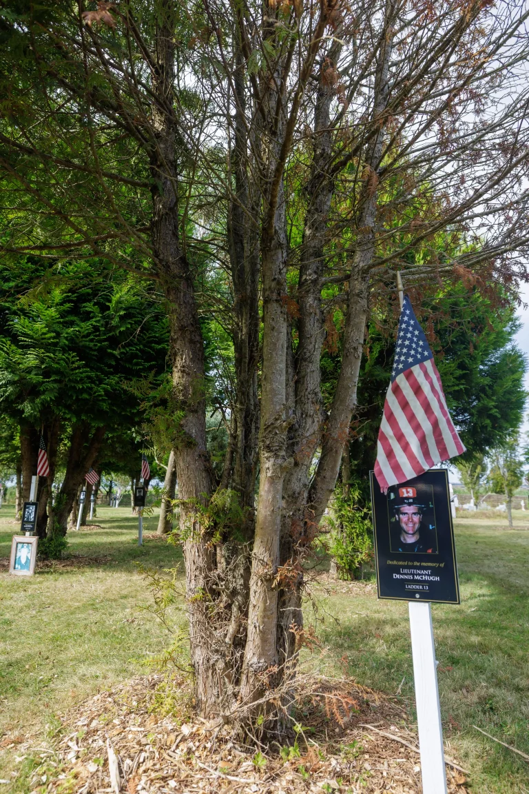 Photo of Dennis McHugh's tree in Ringfinnan Garden of Remembrance