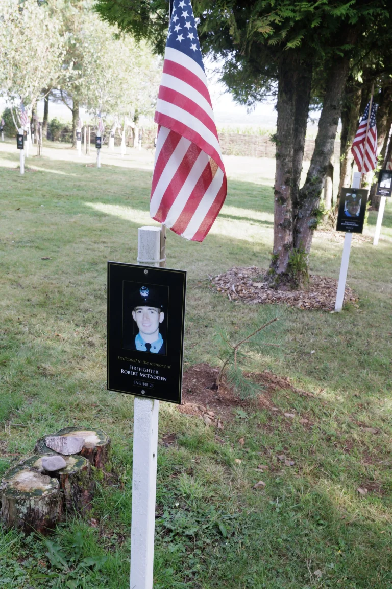 Photo of Robert McPadden's tree in Ringfinnan Garden of Remembrance