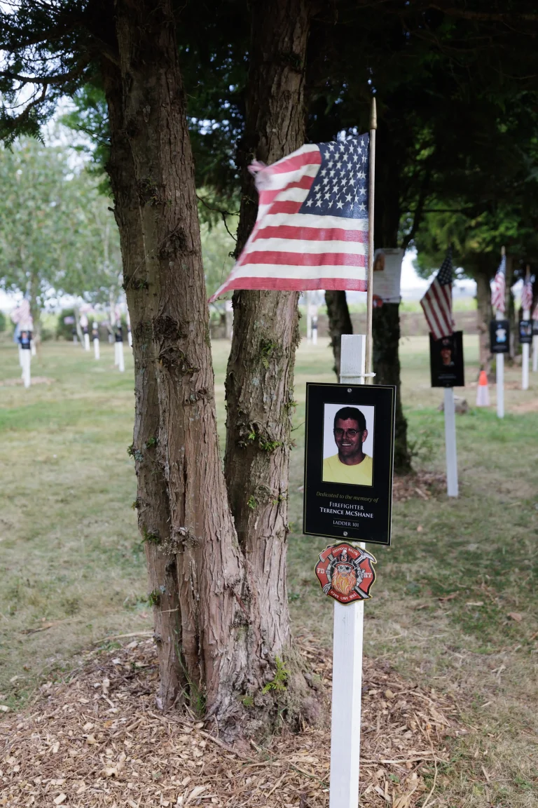 Photo of Terence McShane's tree in Ringfinnan Garden of Remembrance