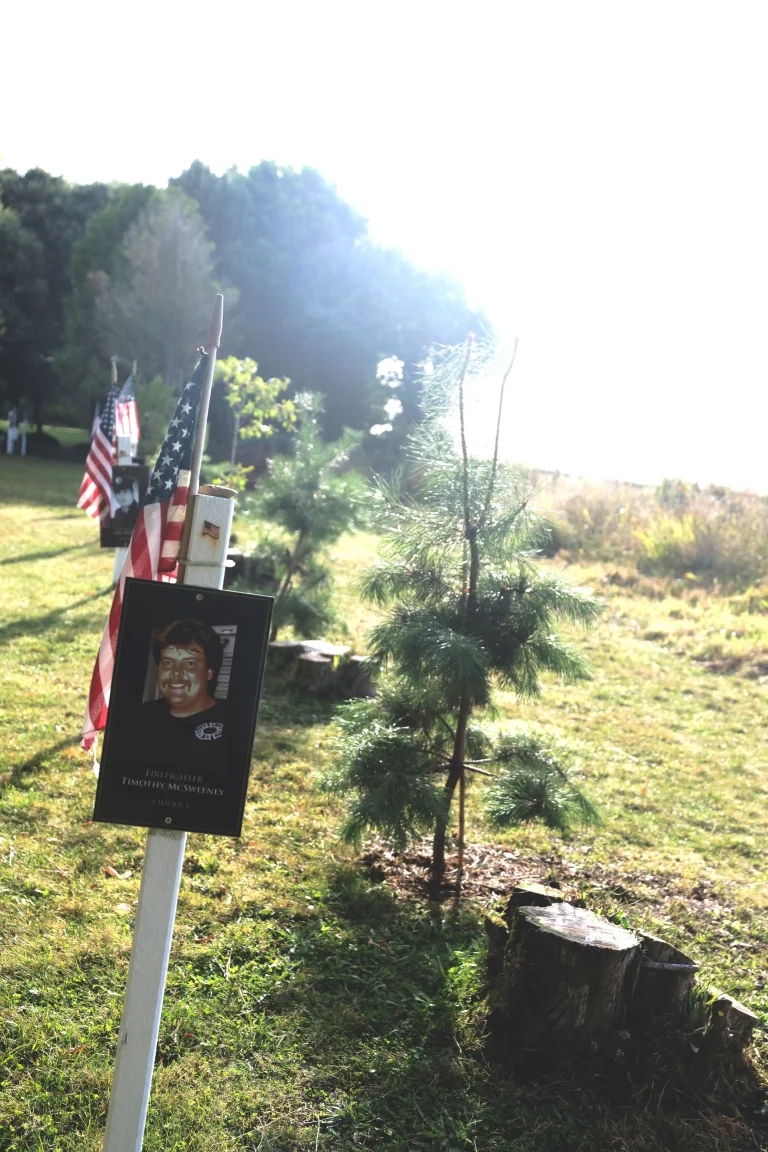 Photo of Timothy McSweeney's tree in Ringfinnan Garden of Remembrance