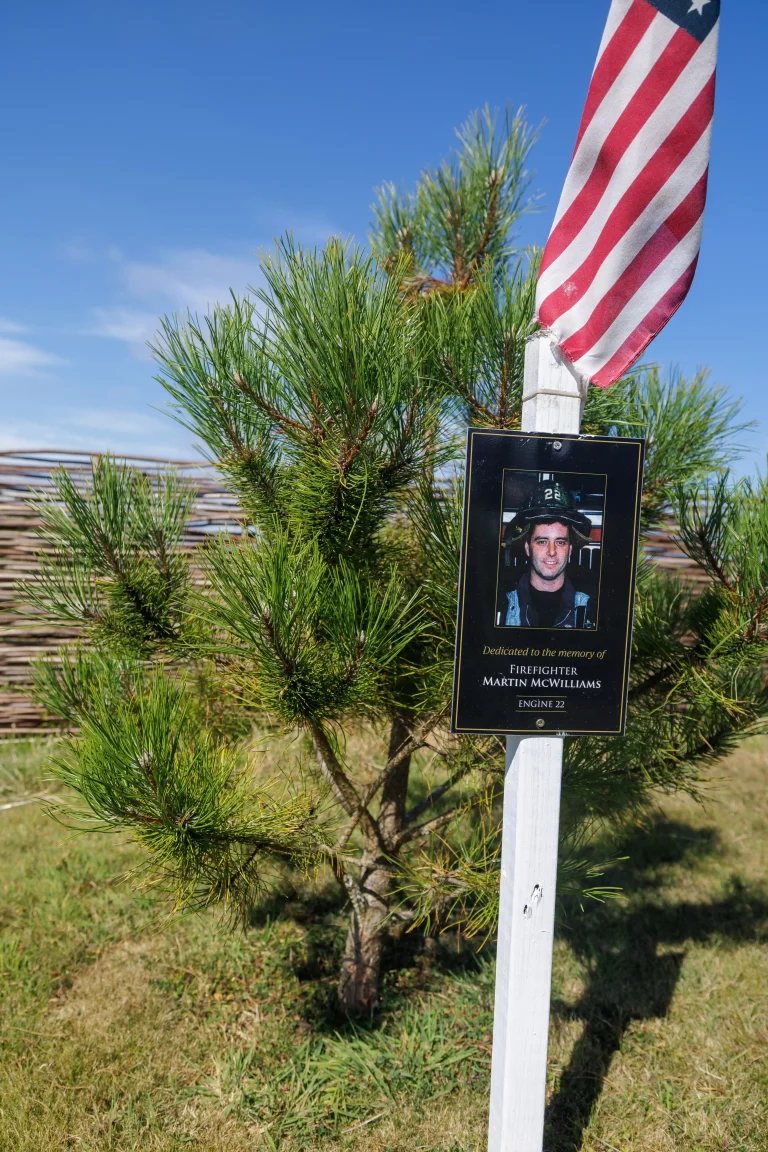 Photo of Martin McWilliams's tree in Ringfinnan Garden of Remembrance