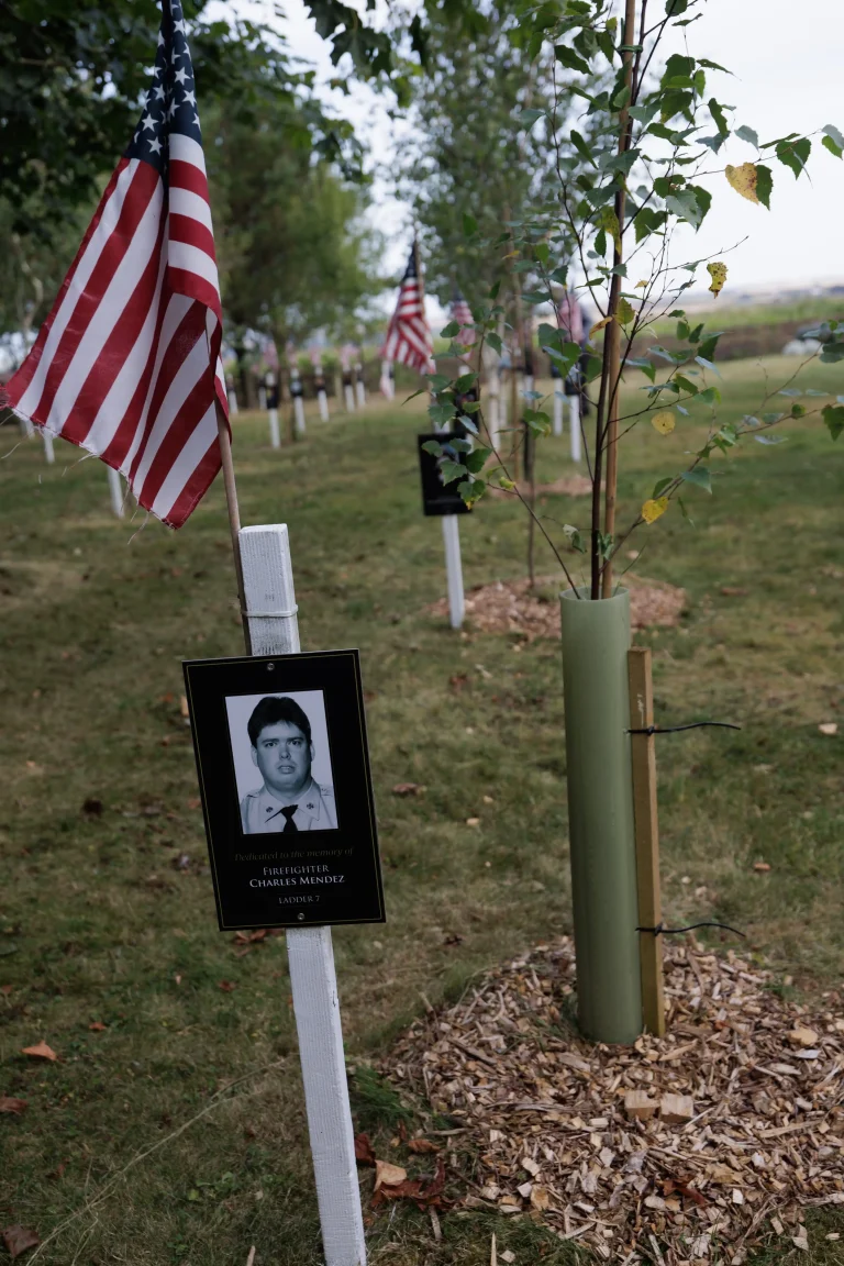 Photo of Charles Mendez's tree in Ringfinnan Garden of Remembrance