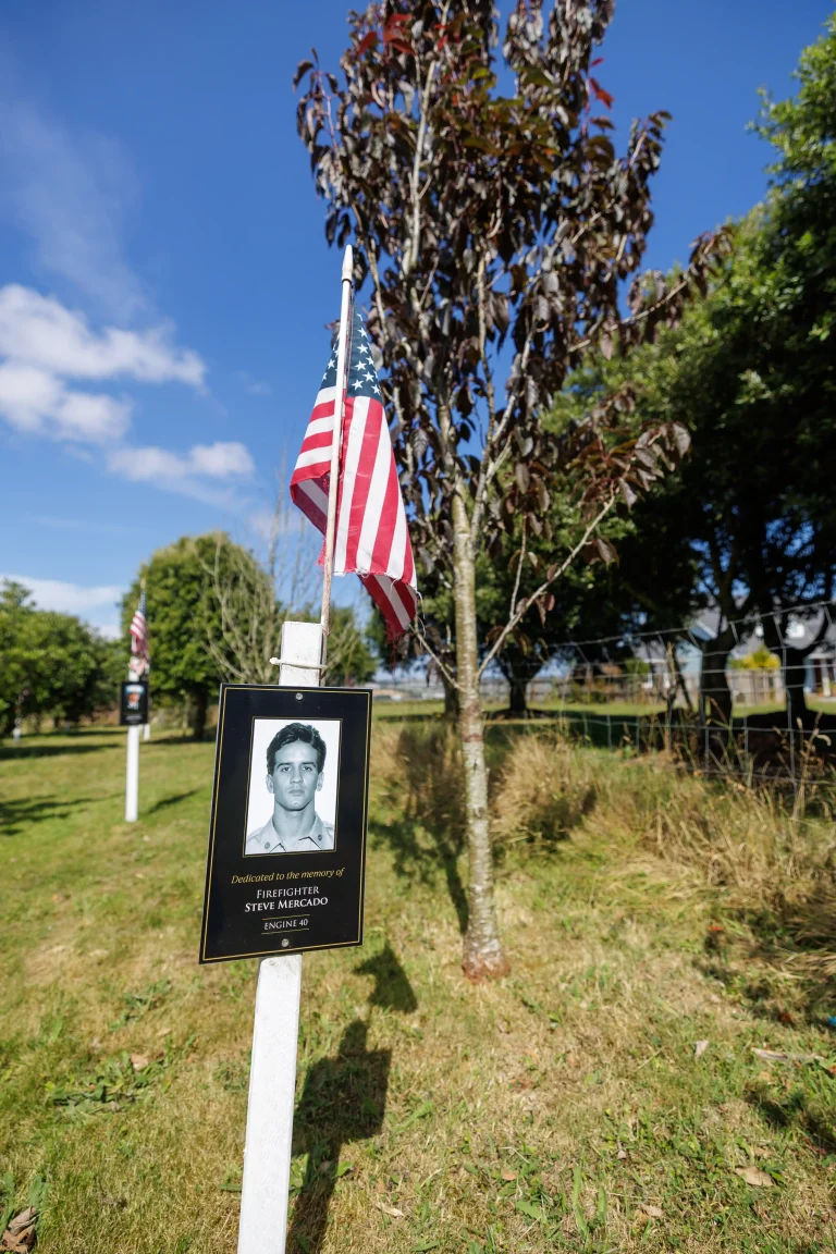 Photo of Steve Mercado's tree in Ringfinnan Garden of Remembrance