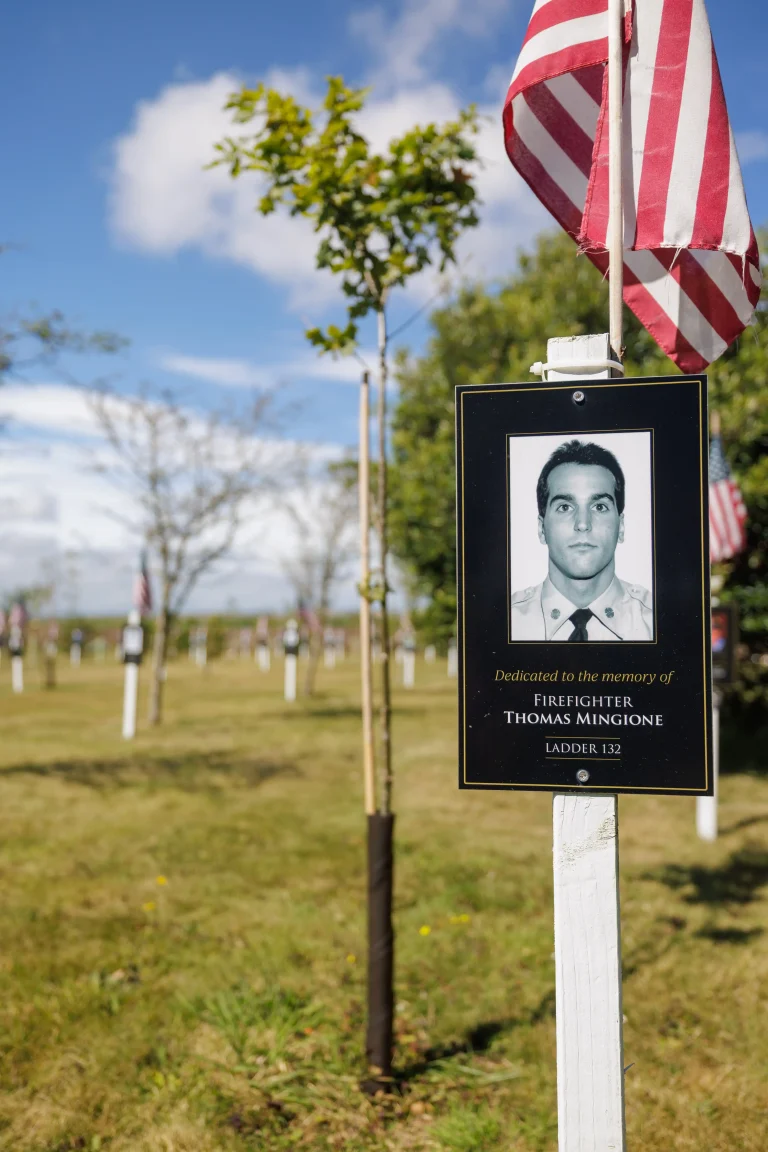 Photo of Thomas Mingione's tree in Ringfinnan Garden of Remembrance