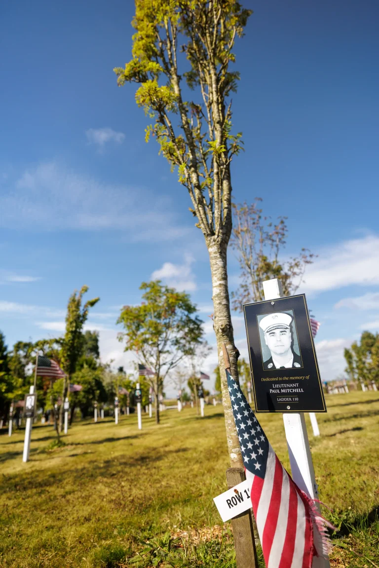 Photo of Paul Mitchell's tree in Ringfinnan Garden of Remembrance