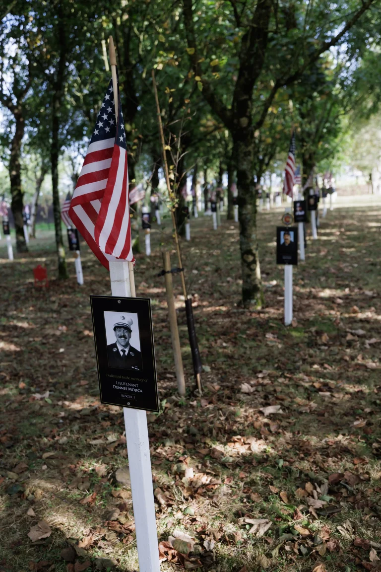 Photo of Dennis Mojica's tree in Ringfinnan Garden of Remembrance