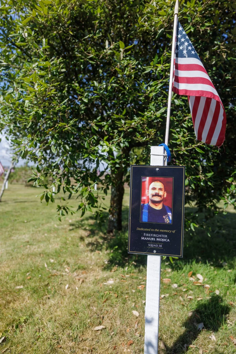 Photo of Manuel Mojica's tree in Ringfinnan Garden of Remembrance