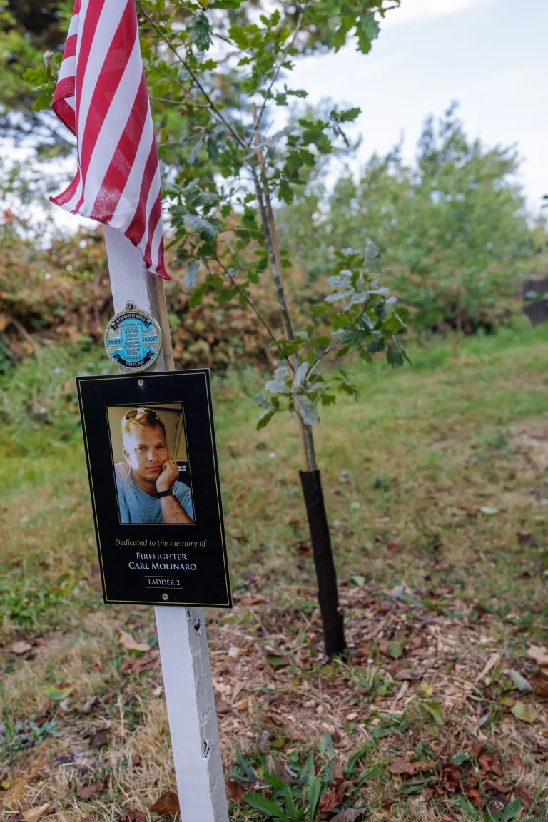 Photo of Carl Molinaro's tree in Ringfinnan Garden of Remembrance