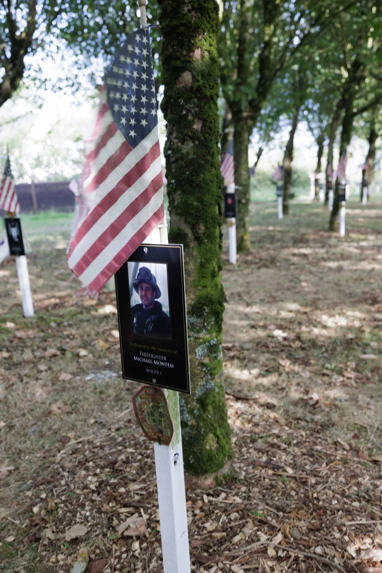Photo of Michael Montesi's tree in Ringfinnan Garden of Remembrance