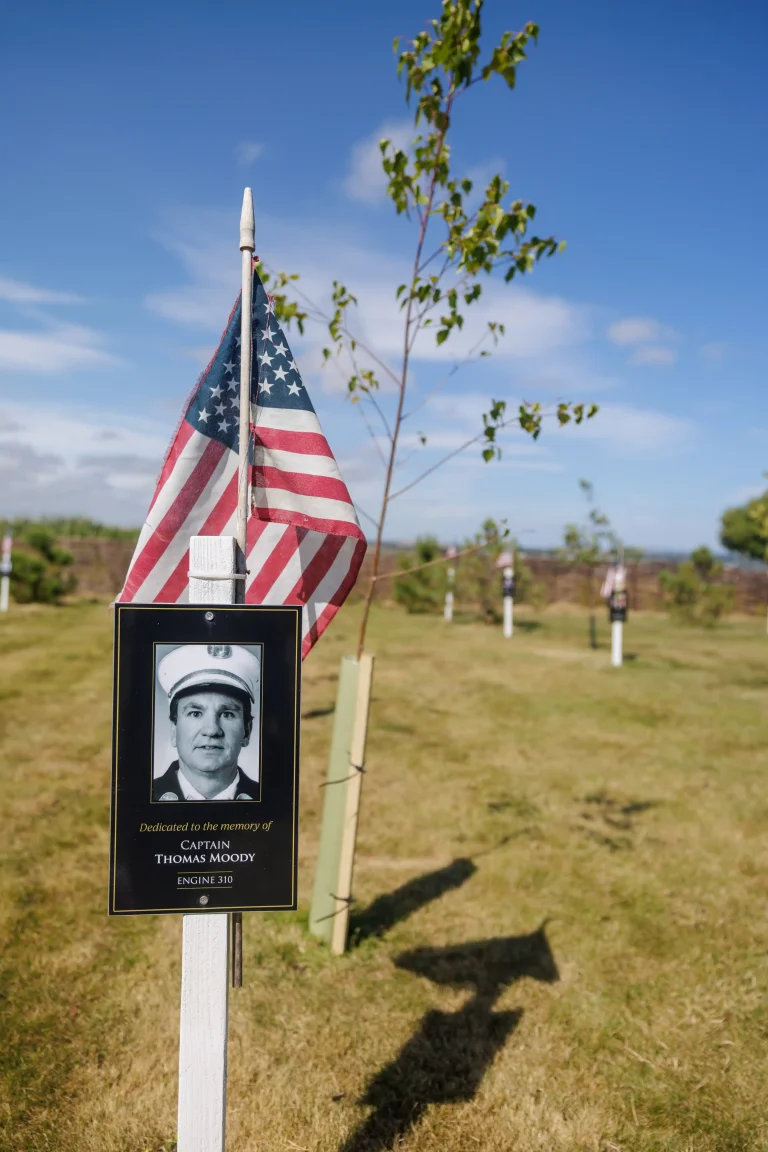 Photo of Thomas Moody's tree in Ringfinnan Garden of Remembrance