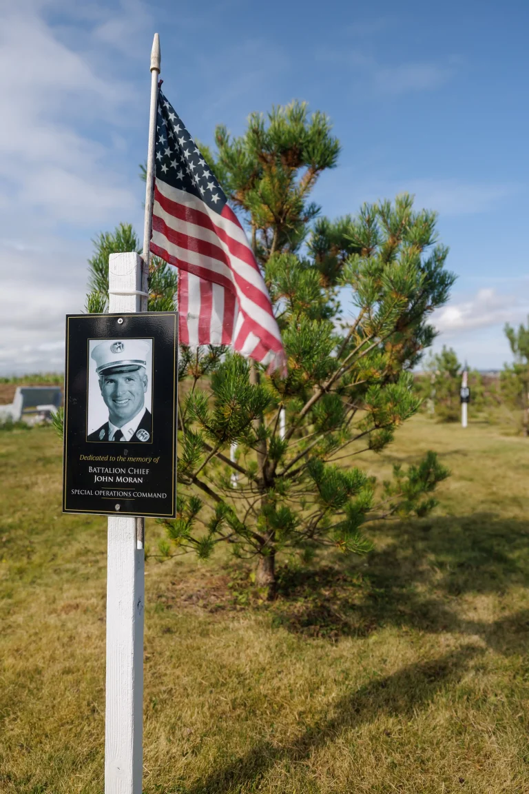 Photo of John Moran's tree in Ringfinnan Garden of Remembrance