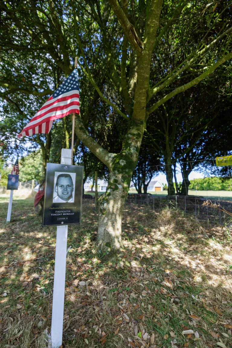 Photo of Vincent Morello's tree in Ringfinnan Garden of Remembrance