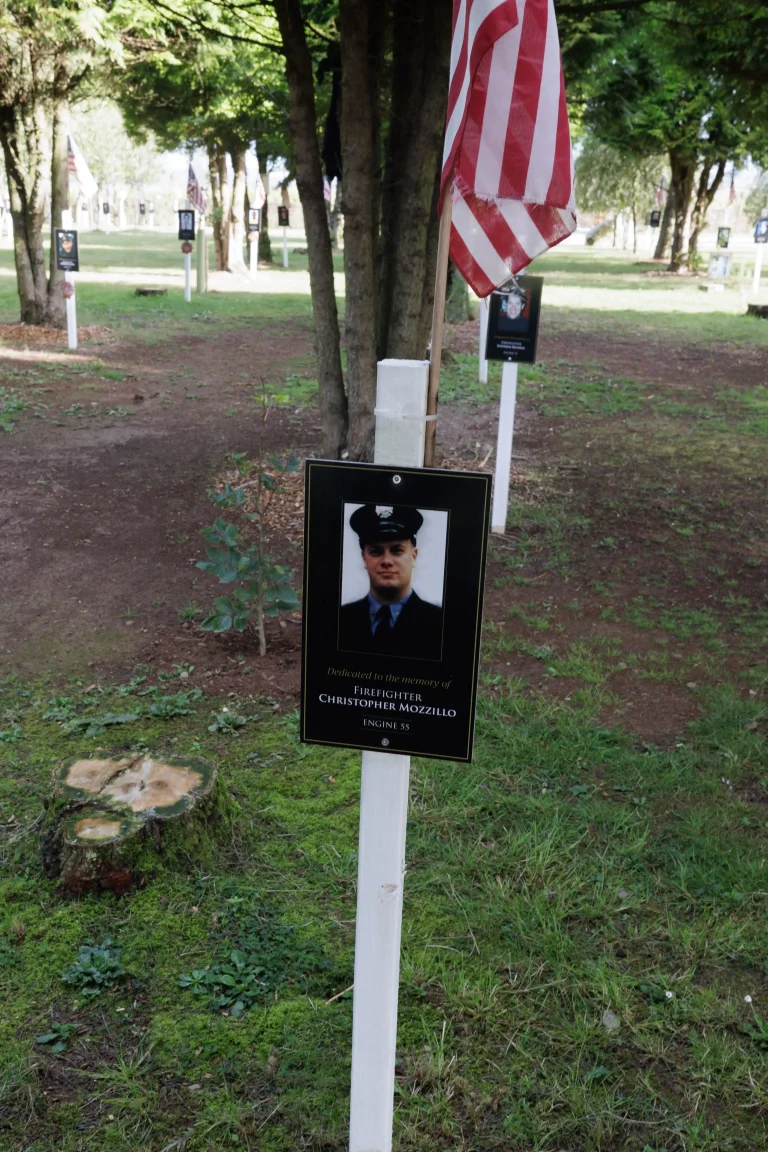 Photo of Christopher Mozzillo's tree in Ringfinnan Garden of Remembrance