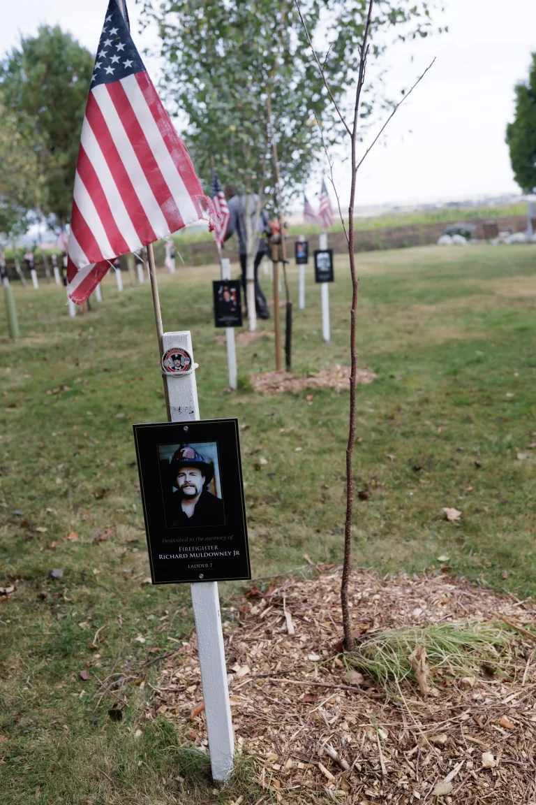 Photo of Richard Muldowney Jr's tree in Ringfinnan Garden of Remembrance