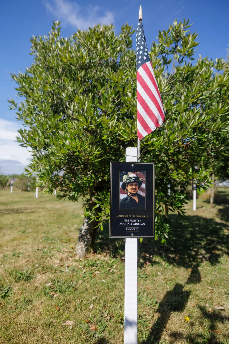 Photo of Michael Mullan's tree in Ringfinnan Garden of Remembrance