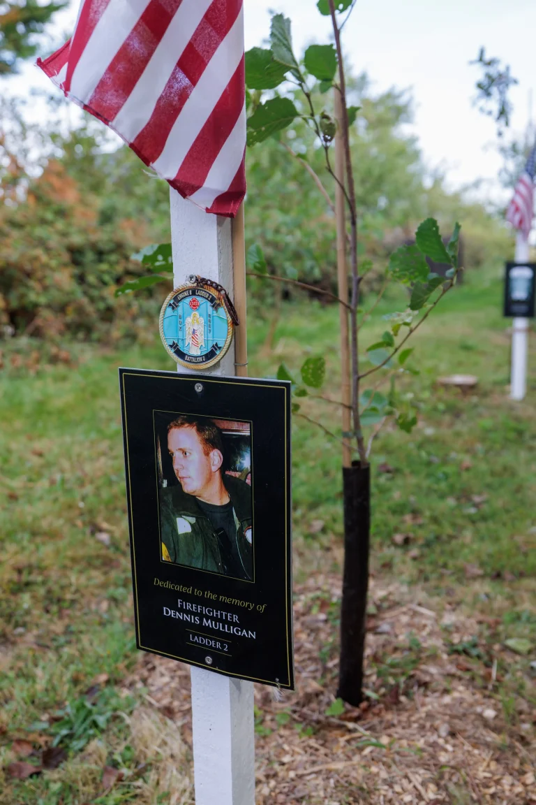 Photo of Dennis Mulligan's tree in Ringfinnan Garden of Remembrance
