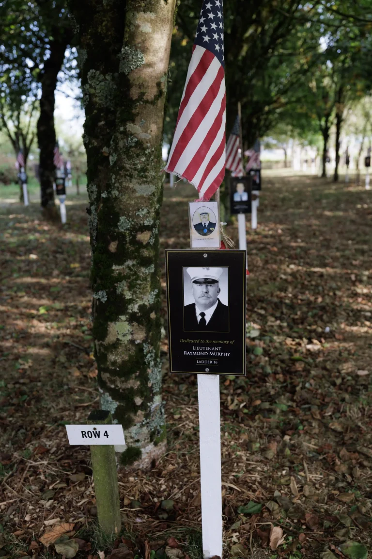 Photo of Raymond Murphy's tree in Ringfinnan Garden of Remembrance
