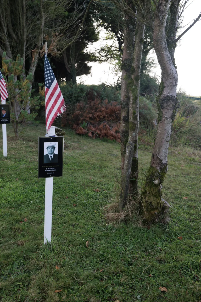 Photo of Robert Nagel's tree in Ringfinnan Garden of Remembrance