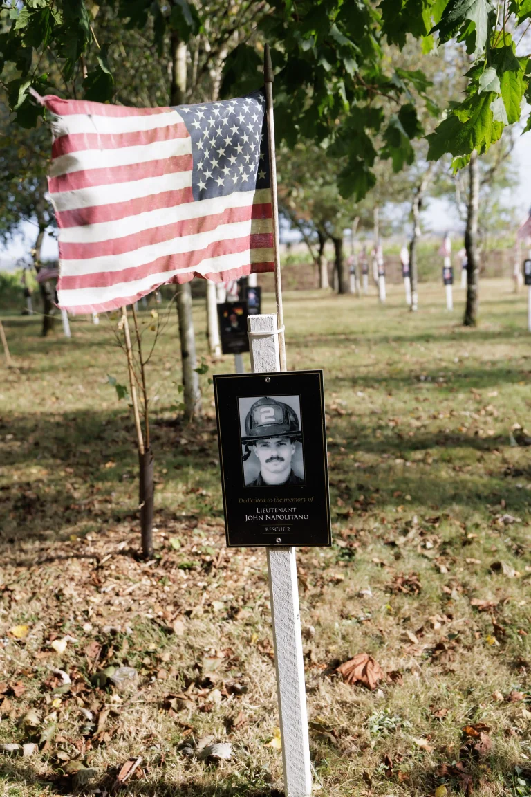 Photo of John Napolitano's tree in Ringfinnan Garden of Remembrance