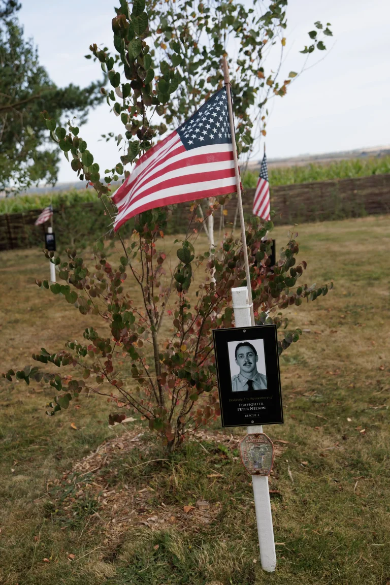 Photo of Peter Nelson's tree in Ringfinnan Garden of Remembrance