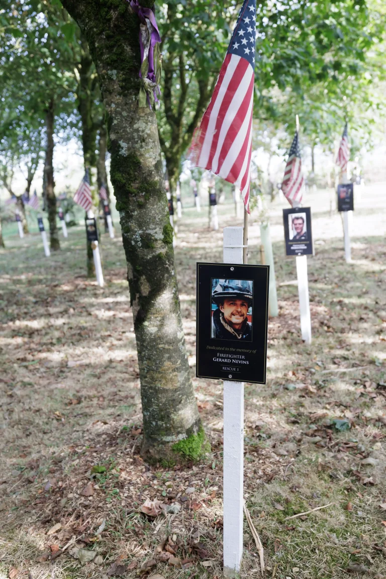 Photo of Gerard Nevins's tree in Ringfinnan Garden of Remembrance