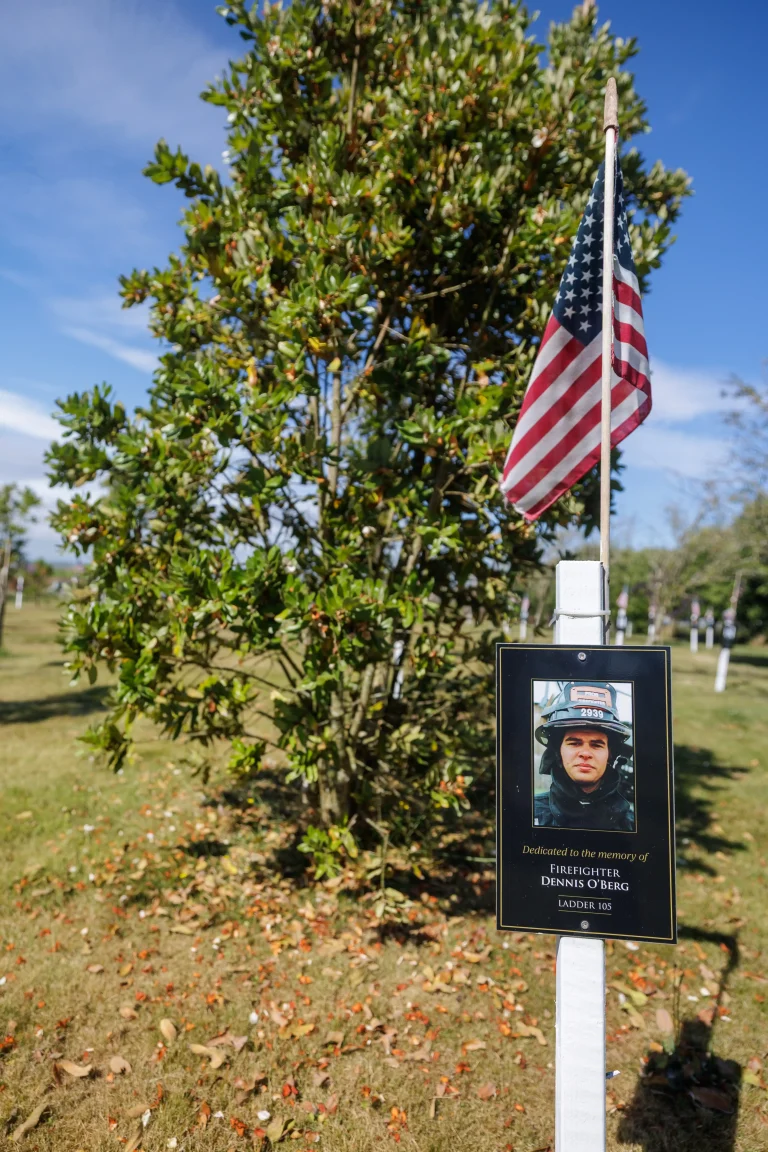 Photo of Dennis O'Berg's tree in Ringfinnan Garden of Remembrance