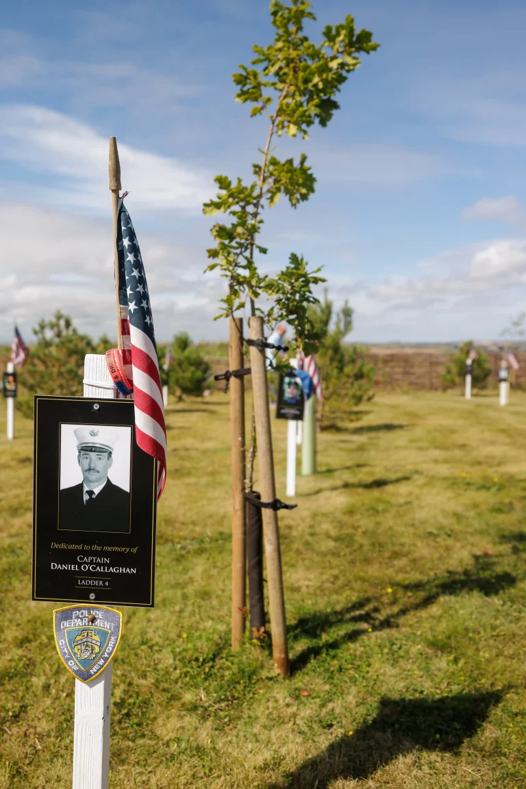 Photo of Daniel O’Callaghan's tree in Ringfinnan Garden of Remembrance