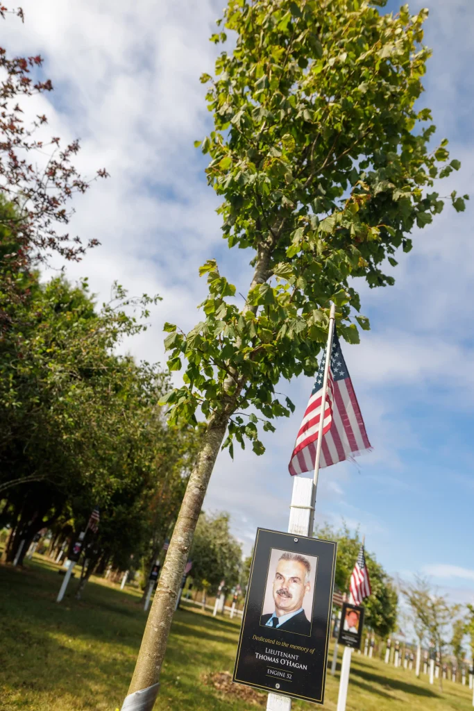 Photo of Thomas O’Hagan's tree in Ringfinnan Garden of Remembrance