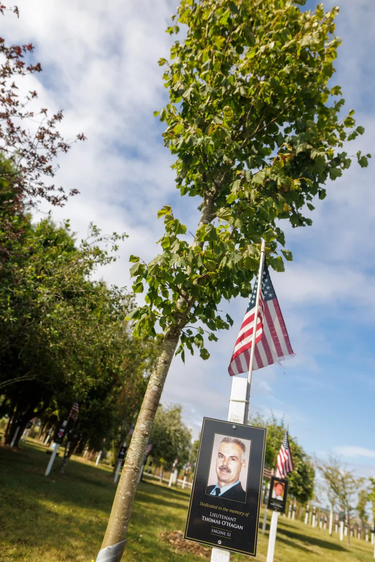 Photo of Thomas O’Hagan's tree in Ringfinnan Garden of Remembrance