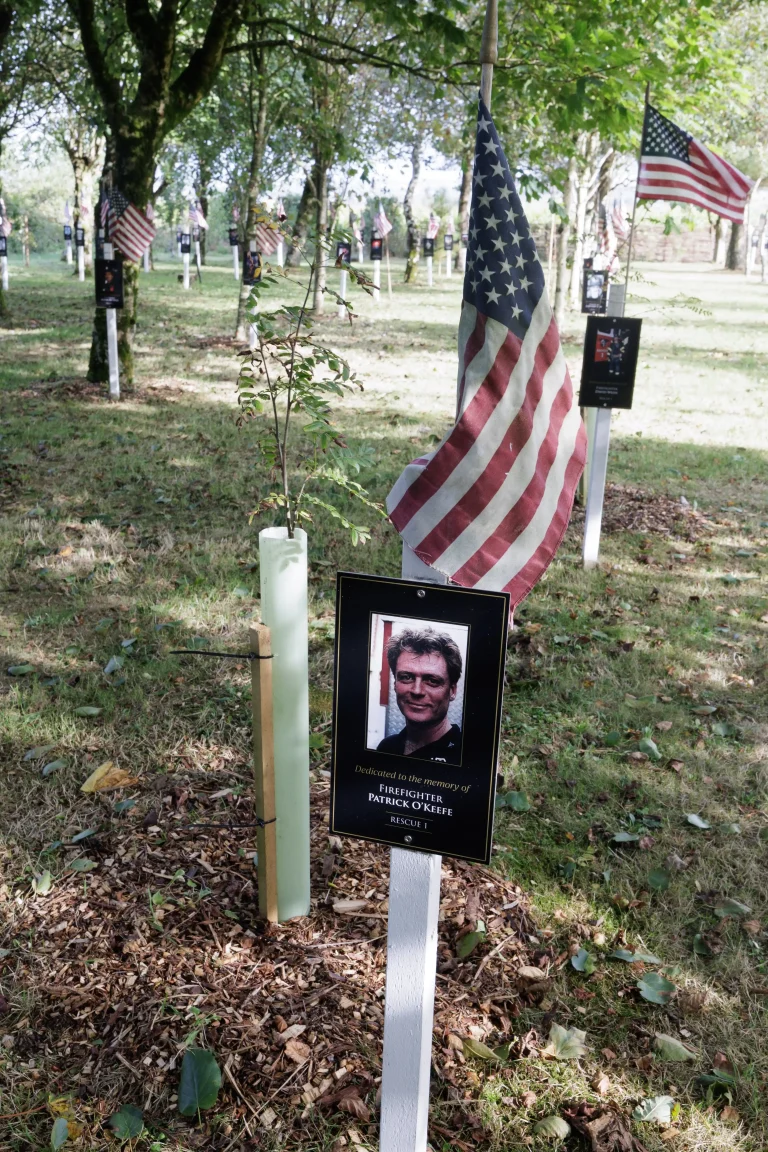 Photo of Patrick O’Keefe's tree in Ringfinnan Garden of Remembrance