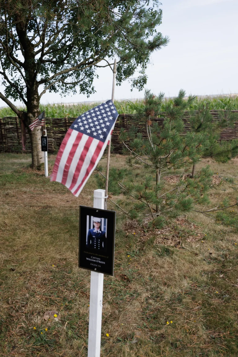 Photo of William O'Keefe's tree in Ringfinnan Garden of Remembrance