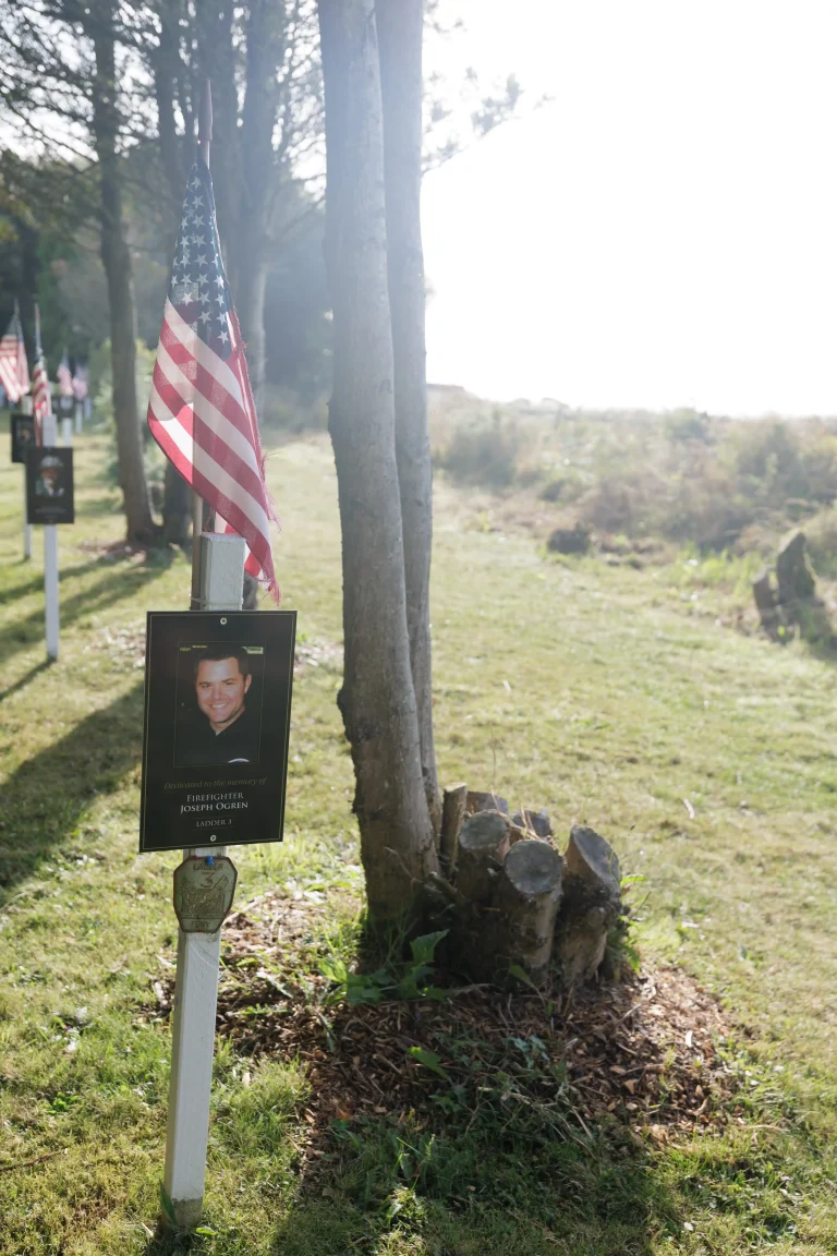 Photo of Joseph Ogren's tree in Ringfinnan Garden of Remembrance