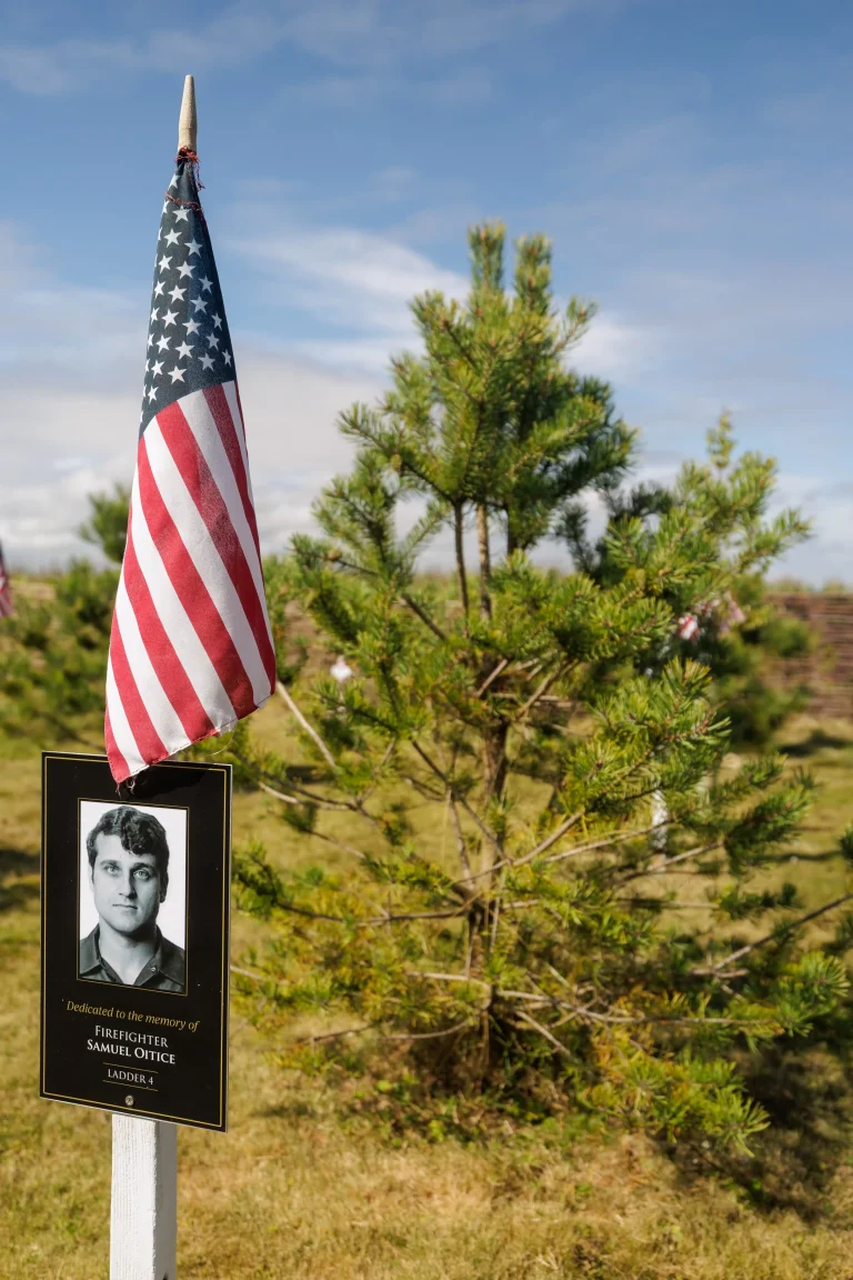 Photo of Samuel Oitice's tree in Ringfinnan Garden of Remembrance