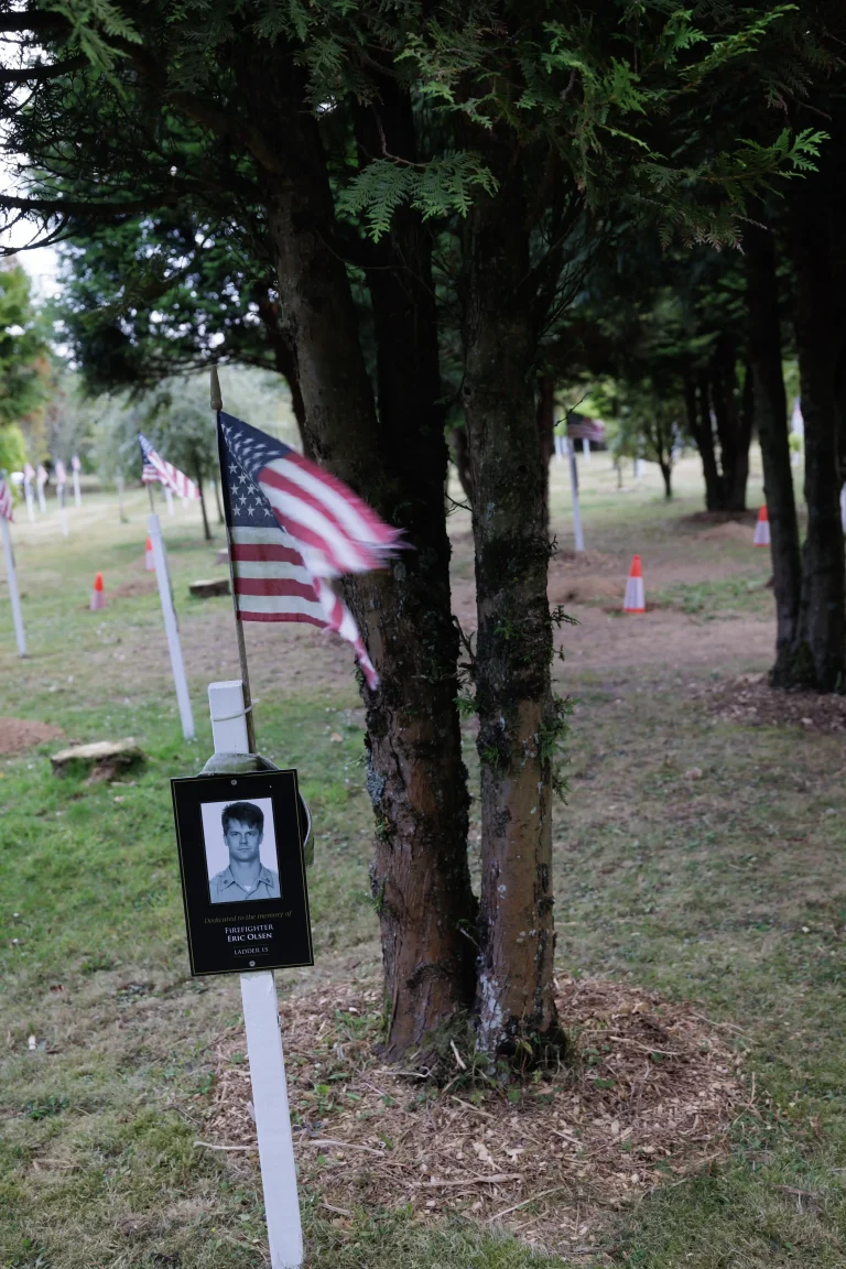 Photo of Eric Olsen's tree in Ringfinnan Garden of Remembrance