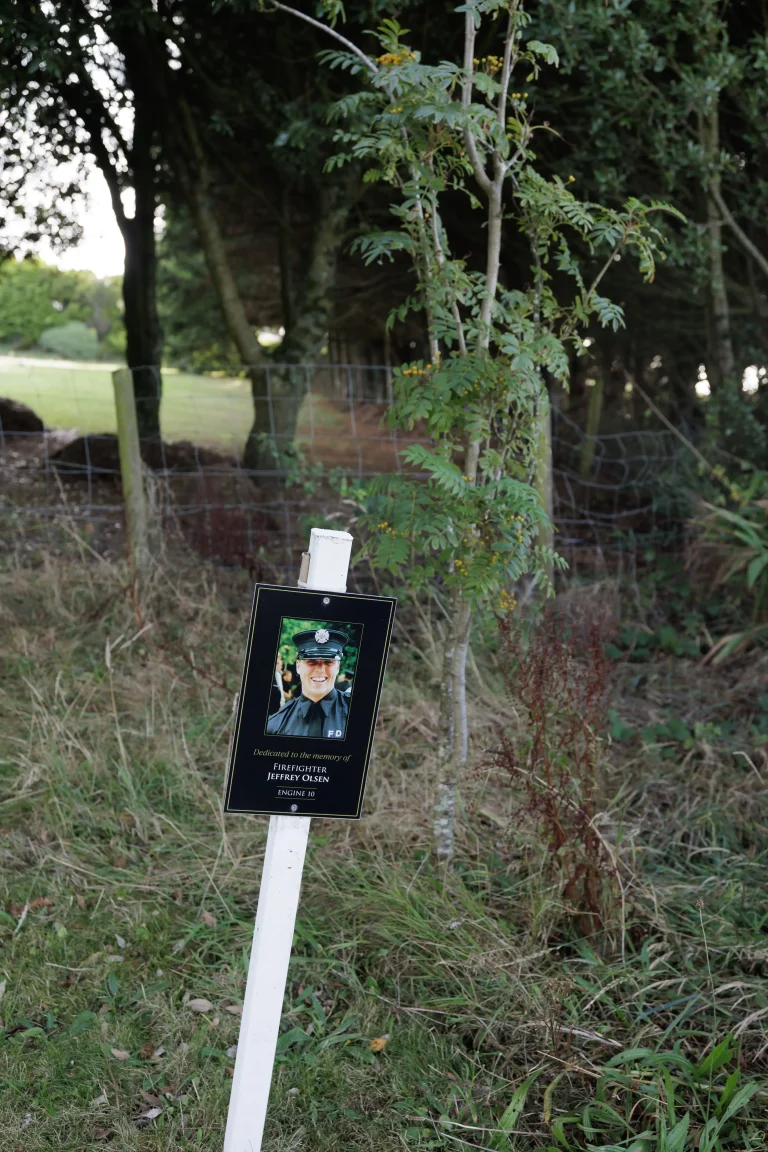 Photo of Jeffrey Olsen's tree in Ringfinnan Garden of Remembrance
