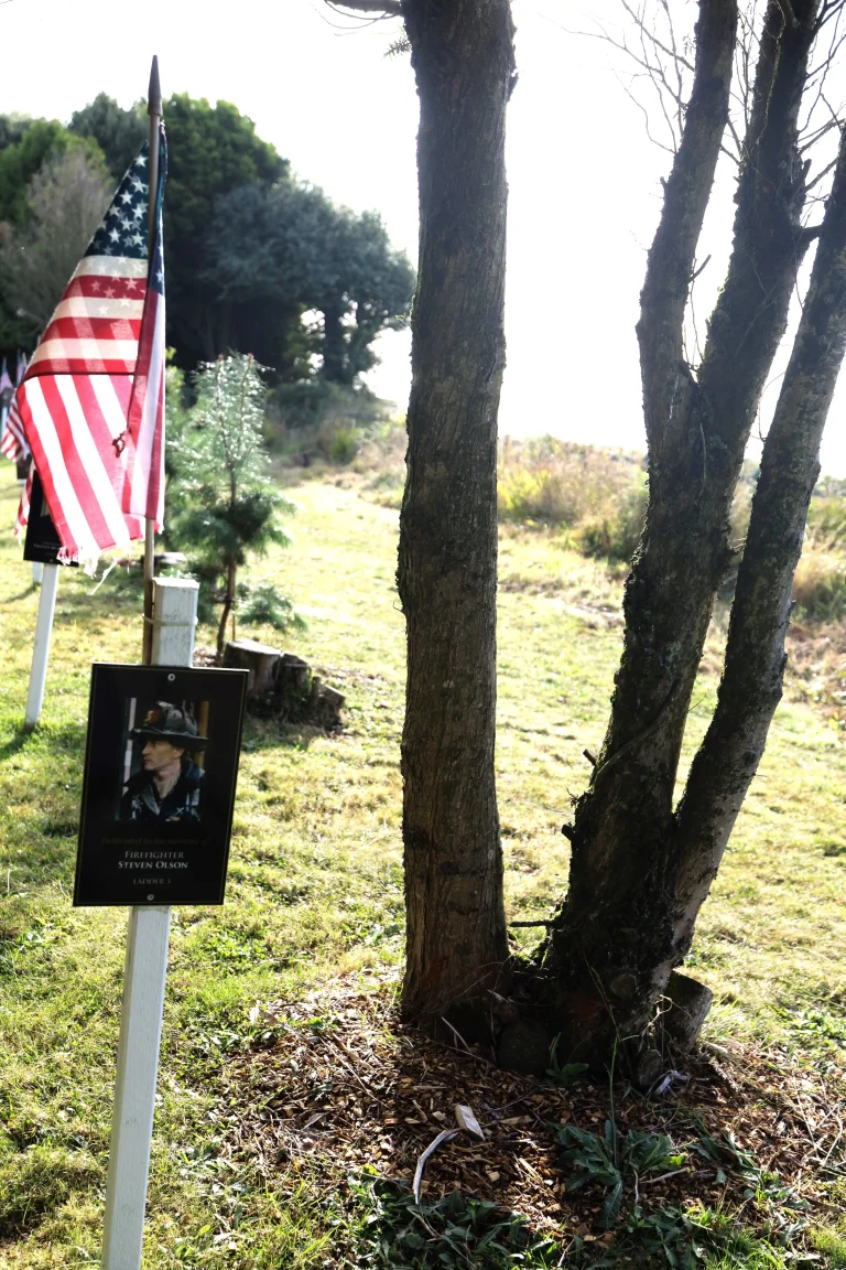 Photo of Steven Olson's tree in Ringfinnan Garden of Remembrance