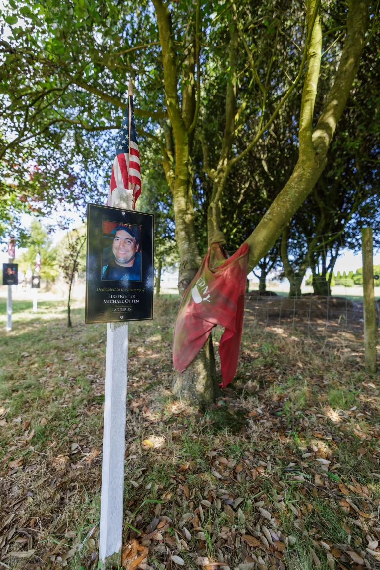 Photo of Michael Otten's tree in Ringfinnan Garden of Remembrance