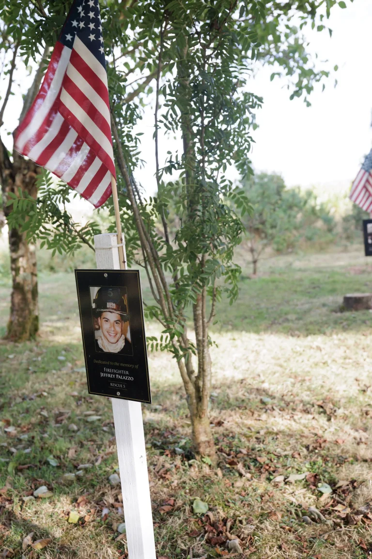 Photo of Jeffrey Palazzo's tree in Ringfinnan Garden of Remembrance