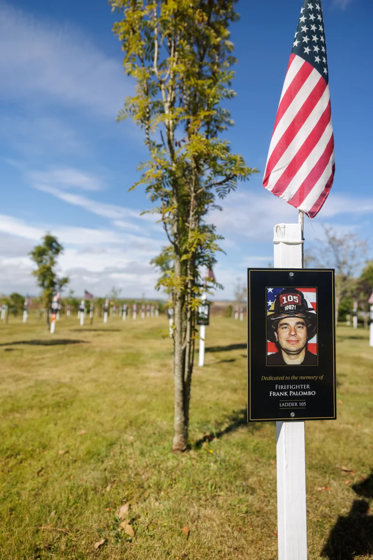 Photo of Frank Palombo's tree in Ringfinnan Garden of Remembrance
